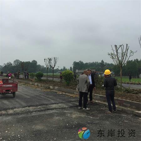 岷东大道东坡段5.8公里道路隔离带绿化工程(图6) 岷东大道东坡段5.8公里道路隔离带绿化工程(图6)
