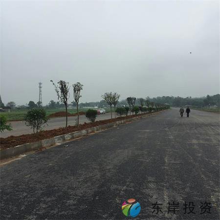 岷东大道东坡段5.8公里道路隔离带绿化工程(图9) 岷东大道东坡段5.8公里道路隔离带绿化工程(图9)